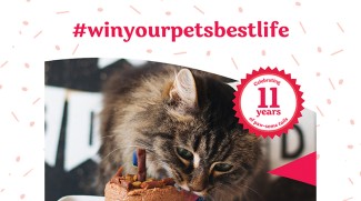 Celebrate And Win With The PetShop!