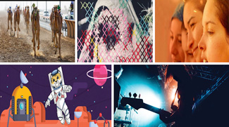 Things To Do This Week 24 To 27 November