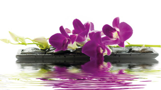 Spa Offers And Deals To Tempt You