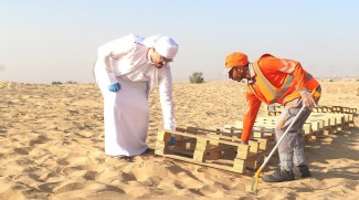 Volunteers And Workers Keep Dubai Clean