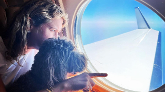 You Can Now Fly With Your Dogs In A Private Jet For Dhs 36,000