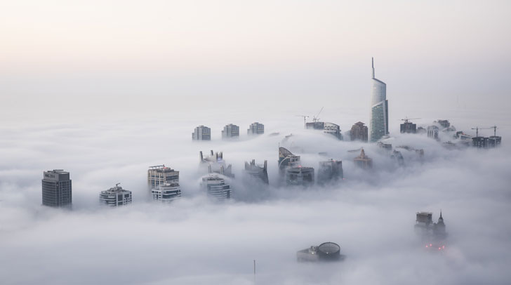 Fog takes over UAE: Tips to drive safe! - Connector Dubai