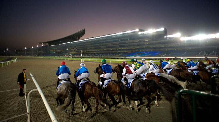 Meydan Horse Racing - Connector Dubai