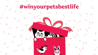 Shop And Win With The PetShop!