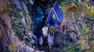 Enjoy Camping Indoors At The Green Planet!