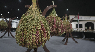 20th Edition Of Liwa Date Festival To Take Place In July