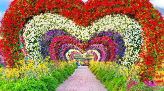 Dubai Miracle Garden Set To Reopen This Month