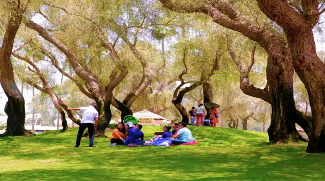 Dubai Municipality Parks And Facilities Attracted Over 31 Million Visitors In 2024.