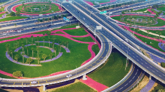 Over 300,000 Trees Planted Across Dubai As Part Of City's Green Drive