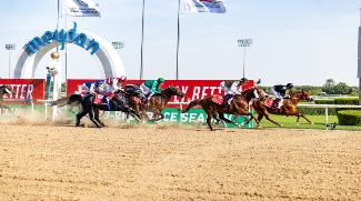 Dubai World Cup 2025: The Ultimate Racing And Social Event Returns