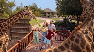Dubai Safari Park Announces Eighth Season Opening