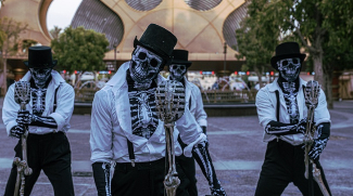 Things To Do For The Weekend 10 - 12 October