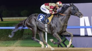 Dubai World Cup Returns In March; Tickets From Just Dhs 40