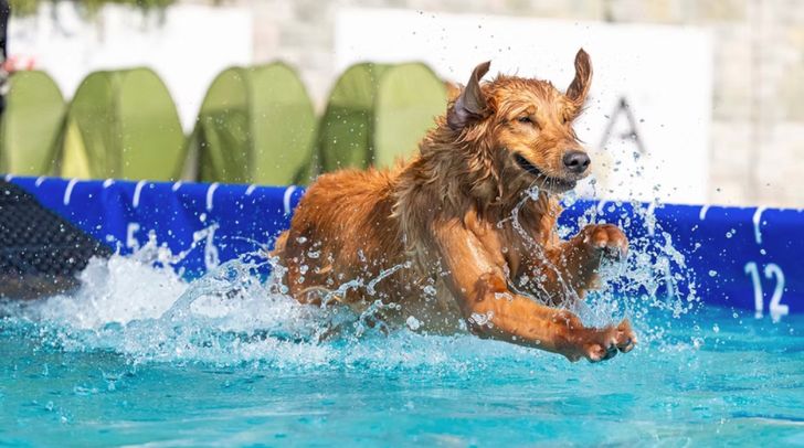 Things To Do For The Weekend 3 - 5 April