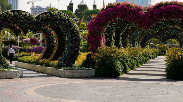 UAE Residents And Citizens Can Now Visit Miracle Garden For Dhs 30