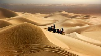Top Desert Adventure Experiences In Dubai And Abu Dhabi