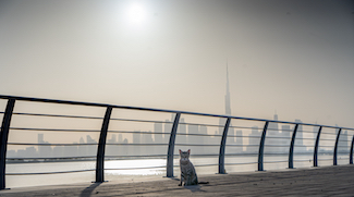 High Humidity, Fog Warnings And Temperatures in Early 40s This Weekend