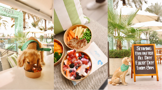 MYAMI Introduces Paws And Purrs: Dubai’s First Pet-Friendly Menu On Palm West Beach