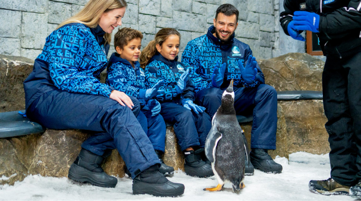 Dubai’s Best Indoor Attractions For Kids Before School Starts