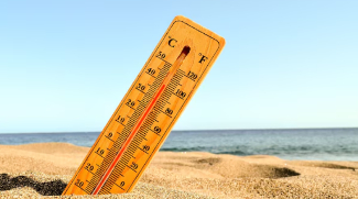 UAE Weather Updates: Rising Temperature And Humidity This Weekend