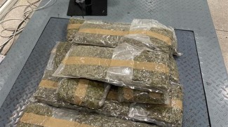 Dubai Customs Seizes 12.5kg Of Marijuana
