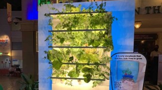 Interactive Experience To Teach Children How Fruit And Vegetables Are Grown