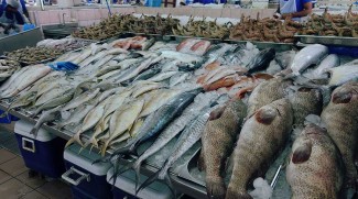 New Fish Market Opens