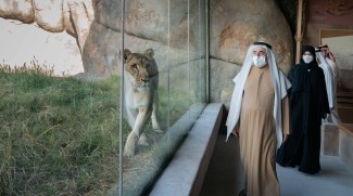 Sharjah Safari Park Opens