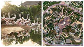 Dubai Safari Park To Welcome Visitors From 5 October