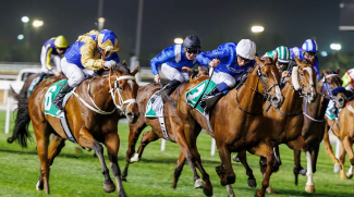 Dubai World Cup 2024: Here's What You Must Know