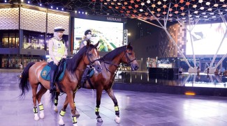 Mounted Police Patrol Arrests Wanted Criminals