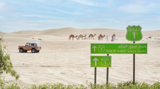 His Highness Sheikh Mohammed Launches Plans For Scenic Route
