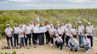 Etihad And Marriott To Plant Mangrove Trees