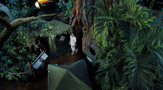 Camping In The Rainforest Experience Returns To the Green Planet On 1 June