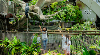 Indoor Tropical Camping Returns To The Green Planet Dubai For Summer