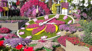 You Can Now Visit Miracle Garden Free Of Charge For A Limited Period