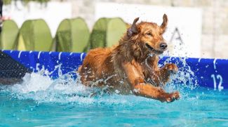 Things To Do For The Weekend 3 - 5 April