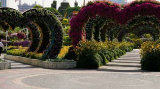 UAE Residents And Citizens Can Now Visit Miracle Garden For Dhs 30