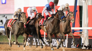 Dubai World Cup To Take Place In April 2025