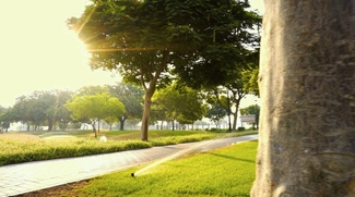 Public Parks In Dubai To Be Redesigned