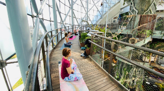 Green Planet Dubai Launches 'Yoga At The Rainforest' Experience