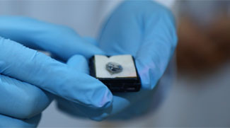 Dubai Police Recover Dhs 73 Million Diamond