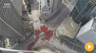 WATCH: Canada Day time-lapse captures 'largest living maple leaf'