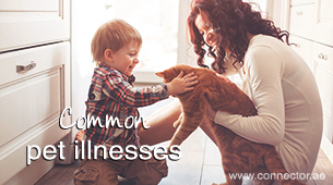 Common pet illnesses