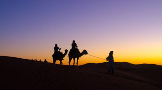 UAE Trying To Grow Grass In Desert