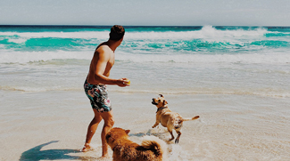 Dogs Friendly Beach Opens