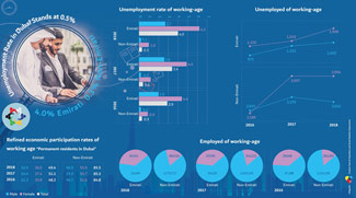 Dubai Records Lowest Unemployment Rate In Dubai