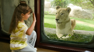 Dubai Safari Park Launches Competition Ahead Of Season Closure