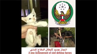 Watch: Dubai Civil Defence rescue a kitten
