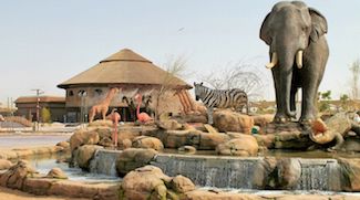 Dubai Safari is hosting a 'family day' two days a week